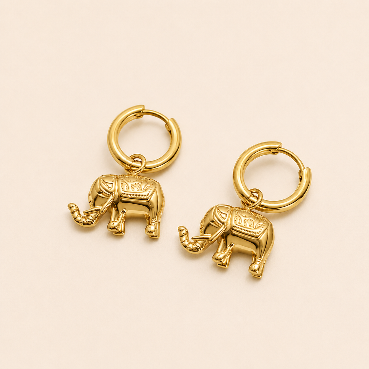 Danya Earrings | Goud Stainless Steel