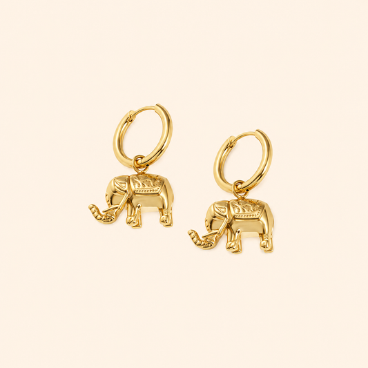 Siyansh Danya Earrings Oorbellen Goud Stainless Steel