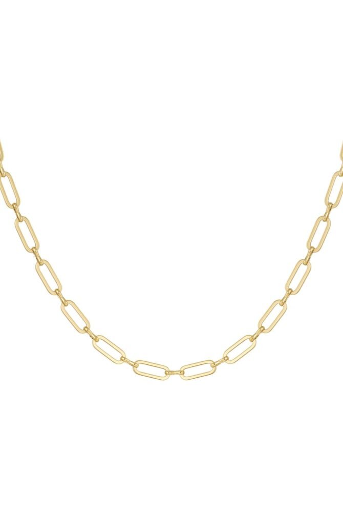 Ketting - Schakelketting - Goud - Stainless Steel